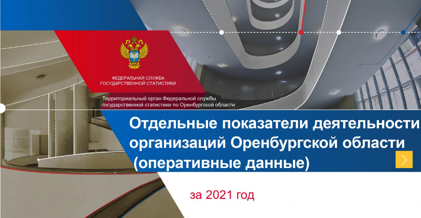 Отдельные показатели деятельности организаций Оренбургской области (оперативные данные) за 2021 год